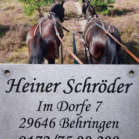Ferienwohnung Hans-heinrich Schroder * ביספינגן